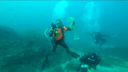 Un submarinista español libera a un tiburón cuando estaba tragándose una bolsa de plástico