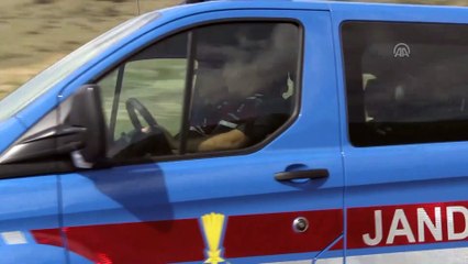 Jandarmanın 'kaplumbağa' mesaisi - NEVŞEHİR