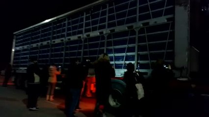 Nueva "vigilia vegana" frente a una granja de pollos en Algemesí, en Valencia