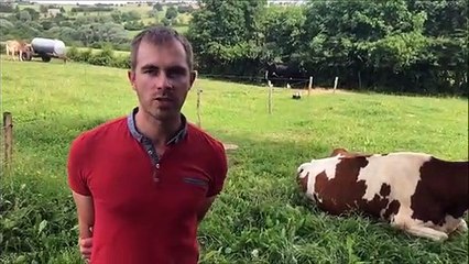 Wiesviller : Ferme de la sarre, de l’élevage à la vente directe