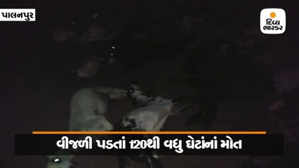 વાવના કૂડાળિયામાં વિજળી પડતાં 120 ઘેટાંના મોત, બે યુવકોનો બચાવ