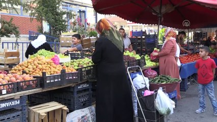 Mikro kredi ile 5 çocuğunu üniversitede okuttu - DİYARBAKIR