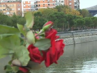 "Volaban las sillas y las mesas y los chavales, mientras, a palos"