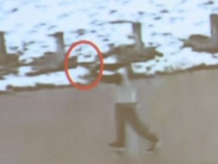 Un policía mata en EEUU a un menor negro que llevaba una pistola de juguete