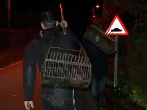 Los furtivos exigen licencias para mariscar