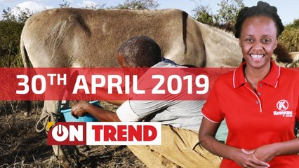 Donkey Milk & DP Ruto's Stolen Eggs - #OnTrend 12