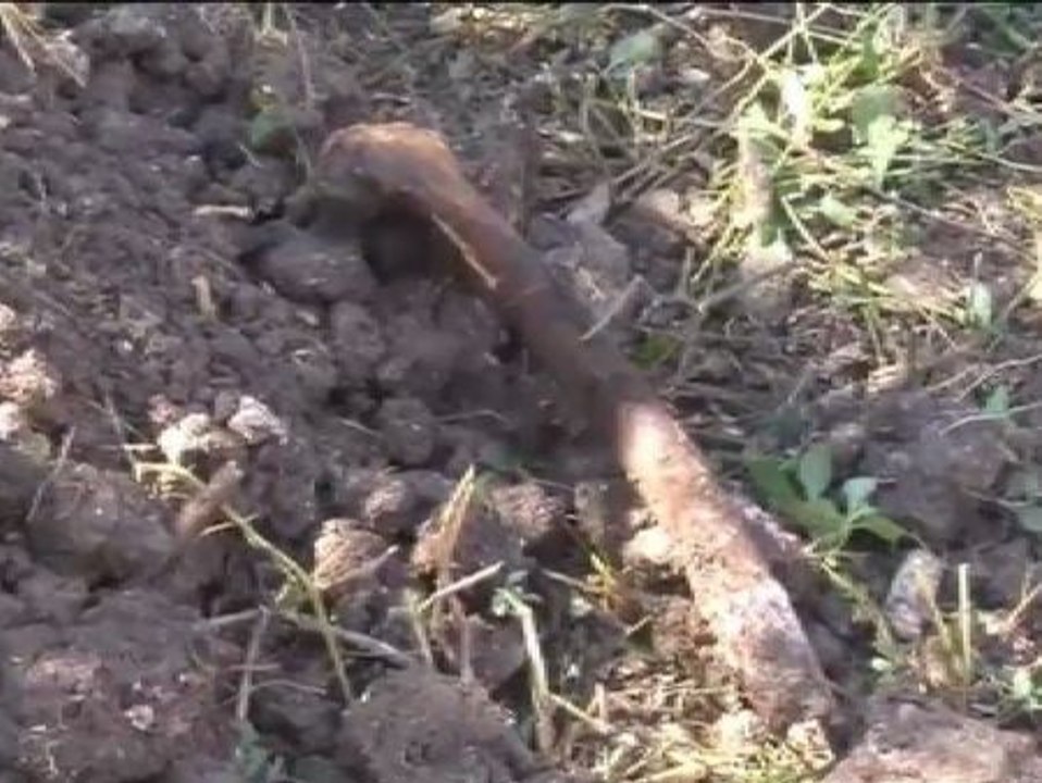 Los familiares de los estudiantes desapareciedos encuentran restos humanos