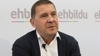 Otegi: Más allá de la Constitución "está la voluntad democrática de los vascos"