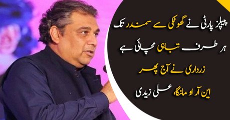 PPP has led destruction everywhere, Zardari asked for NRO even today, Ali Zaidi