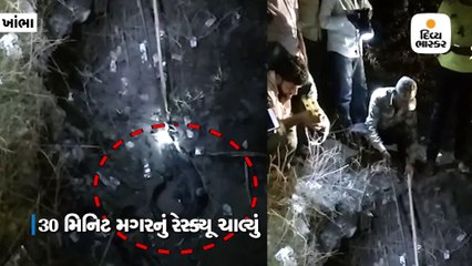 માર્કેટીંગ યાર્ડમાં 5 ફૂટની મગર ચડી આવતા વનવિભાગે રેસ્ક્યૂ કરી સલામત સ્થળે ખસેડી