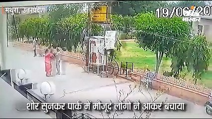 आवारा कुत्तों ने 3 साल के बच्चे पर हमला किया