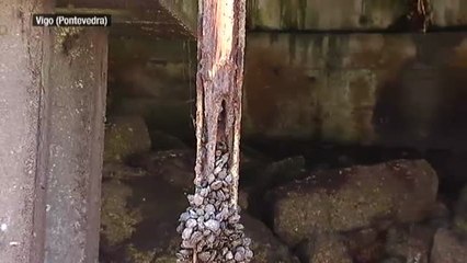 La Xunta acusa al ayuntamiento por la falta de mantenimiento del muelle