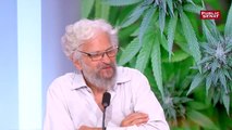 OVPL. Débat cannabis. « Il serait temps qu’il y ait un débat un plus serein et que l’on ne se borne pas au grand principe avec des « pour et des « contre ». »