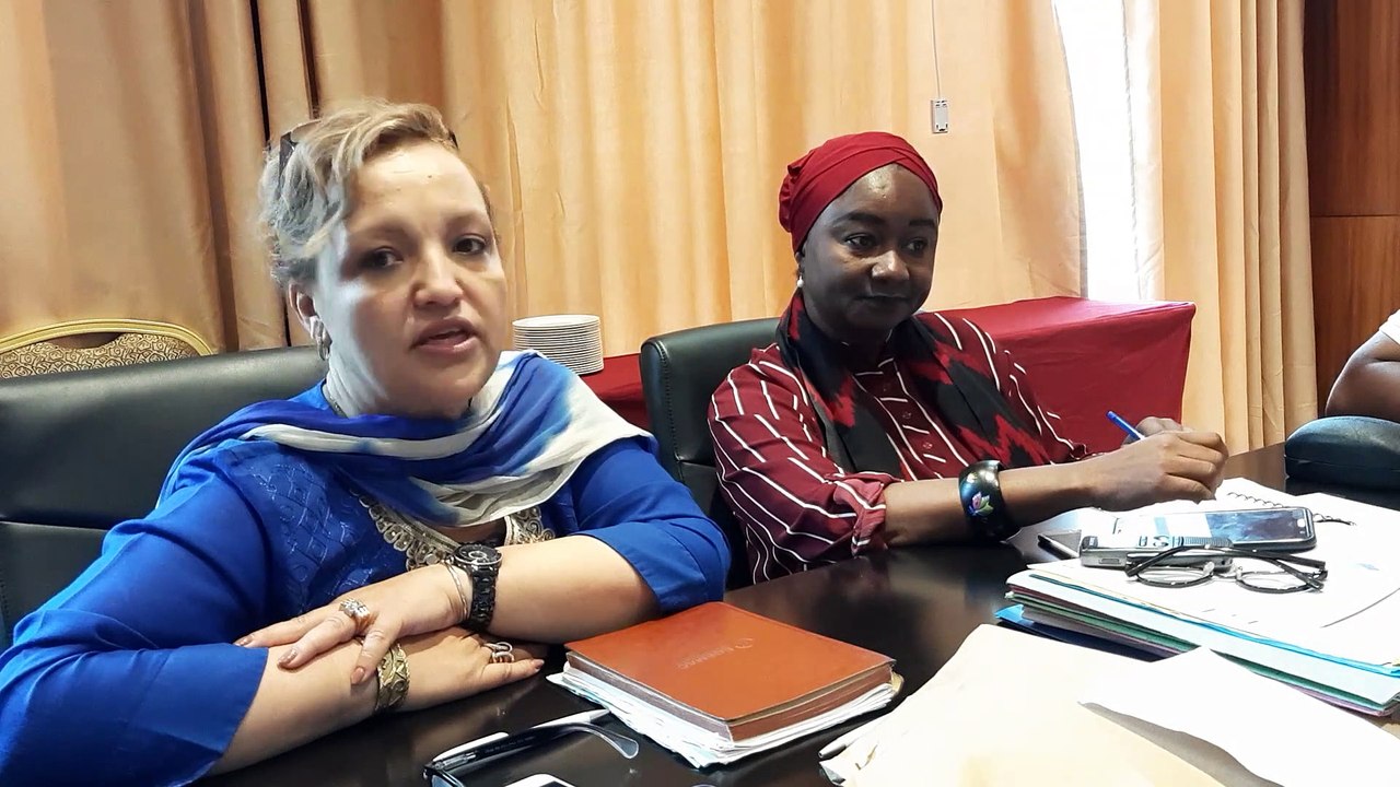 Energies renouvelables en Afrique : Chantal Colle dit tout sur le Forum de Conakry