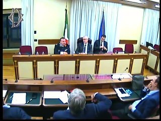 Roma - Audizione D’Amico, direttore Gruppo operativo mobile (19.06.19)