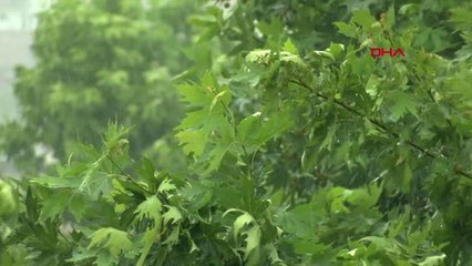 Malatya'da yağmur hayatı olumsuz etkiledi