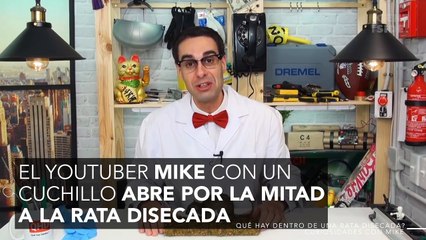 19245ES-Inspecciona el interior de una rata y lo que encuentra es alucinante