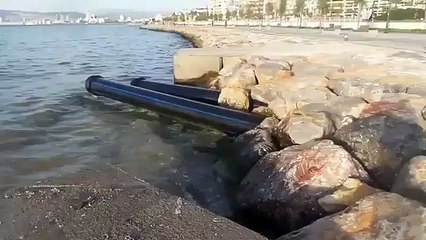 Ne çektin be İzmirli! CHP vatandaşı kanalizasyona teslim etti