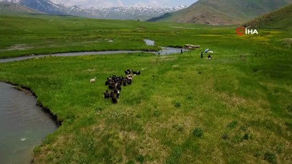 Güzelliğiyle kendine hayran bırakan Feraşin Yaylası havadan görüntülendi
