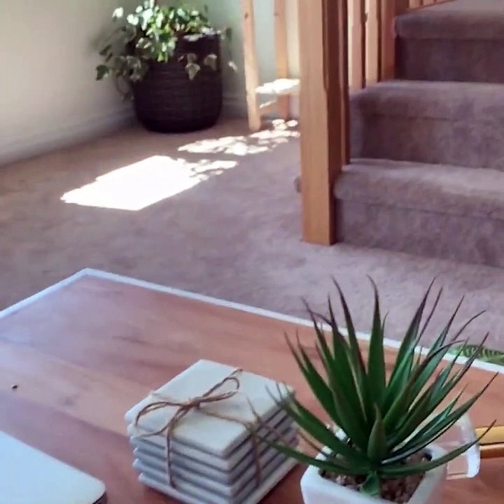 Bébés chatons.. mignons mais catastrophe à la maison ! Compilation