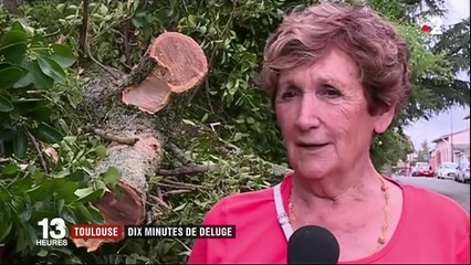 Toulouse : un orage puissant provoque de nombreux dégâts