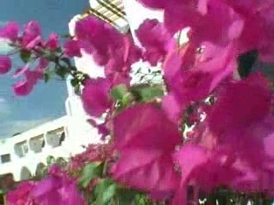 Kiteboarding El Naaba Egypt