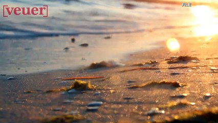 Florida Police Looking For Owner Of Prosthetic Ear That Washed Up On Beach!