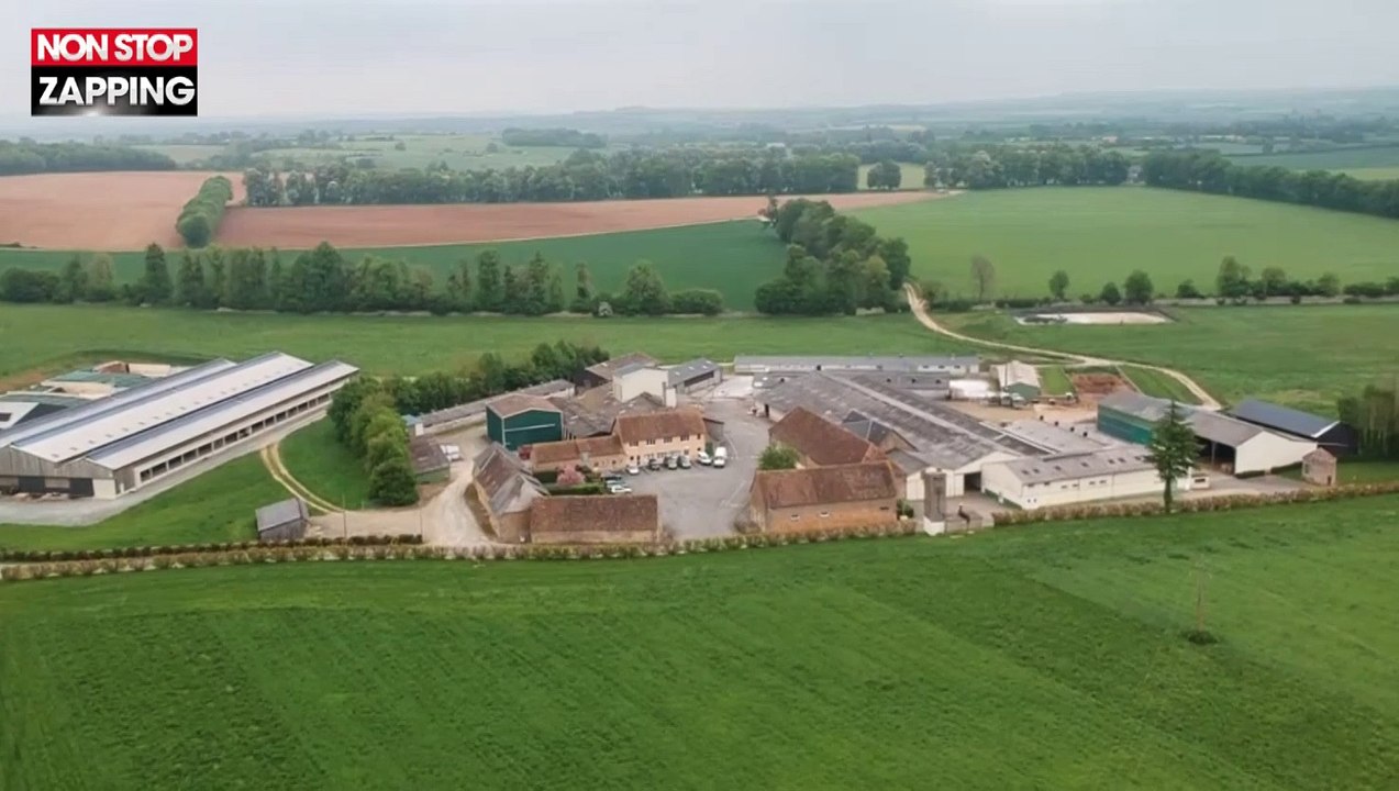 L214 : La nouvelle vidéo choc sur l'enfer des vaches à hublots (Vidéo)