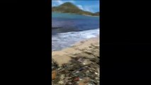 250.000 toneladas de basura en una playa de México