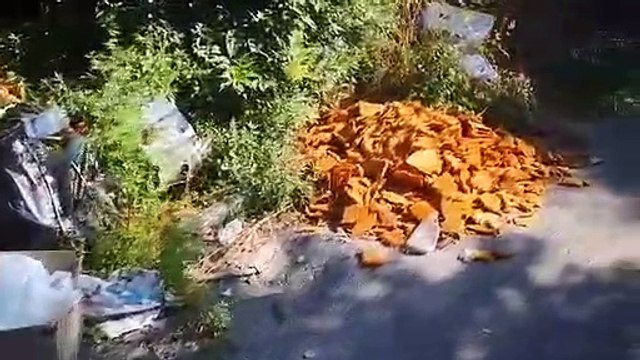 Aversa - Rifiuti in via del Campo (20.06.19)