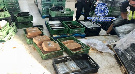 Desarticulada organización dedicada al tráfico de cocaína