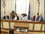 Roma - Audizioni su federalismo fiscale (20.06.19)