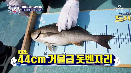 넣으면 나오는 '혼돈의 카오스' 도시어부 최약체 재환-경규의 더블 히트!