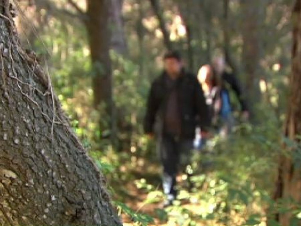 Tres mil bosques españoles podrían formar parte de una red para mejorar la salud paseando