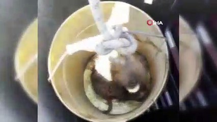 Rögara düşen yavru köpek, itfaiye ekipleri tarafından kurtarıldı