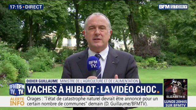 Vaches à hublot: pour le ministre de l'Agriculture, c'est scientifiquement important pour la recherche