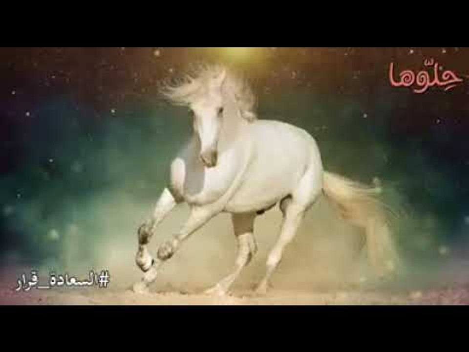عش حياتك سعيداً قانعاً.. ولا تدع أقوالهم تقلص أ...