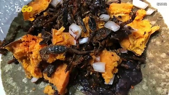 Teen Weightlifter Ditches Meat, Eats Insects for Protein