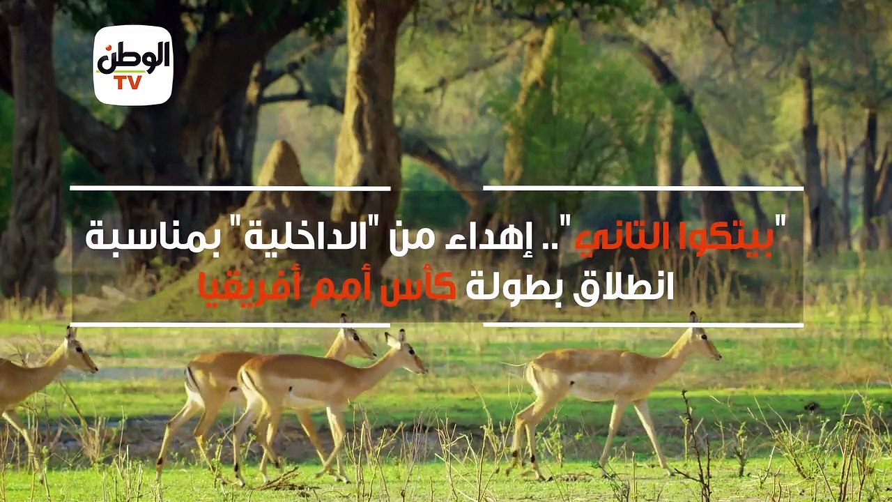 "بيتكوا التاني".. إهداء من "الداخلية" بمناسبة ا...