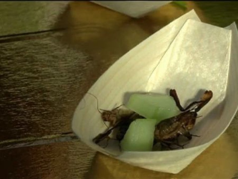 ¿Grillo salteado o gusano en su salsa?  Los insectos llegan a nuestros menús