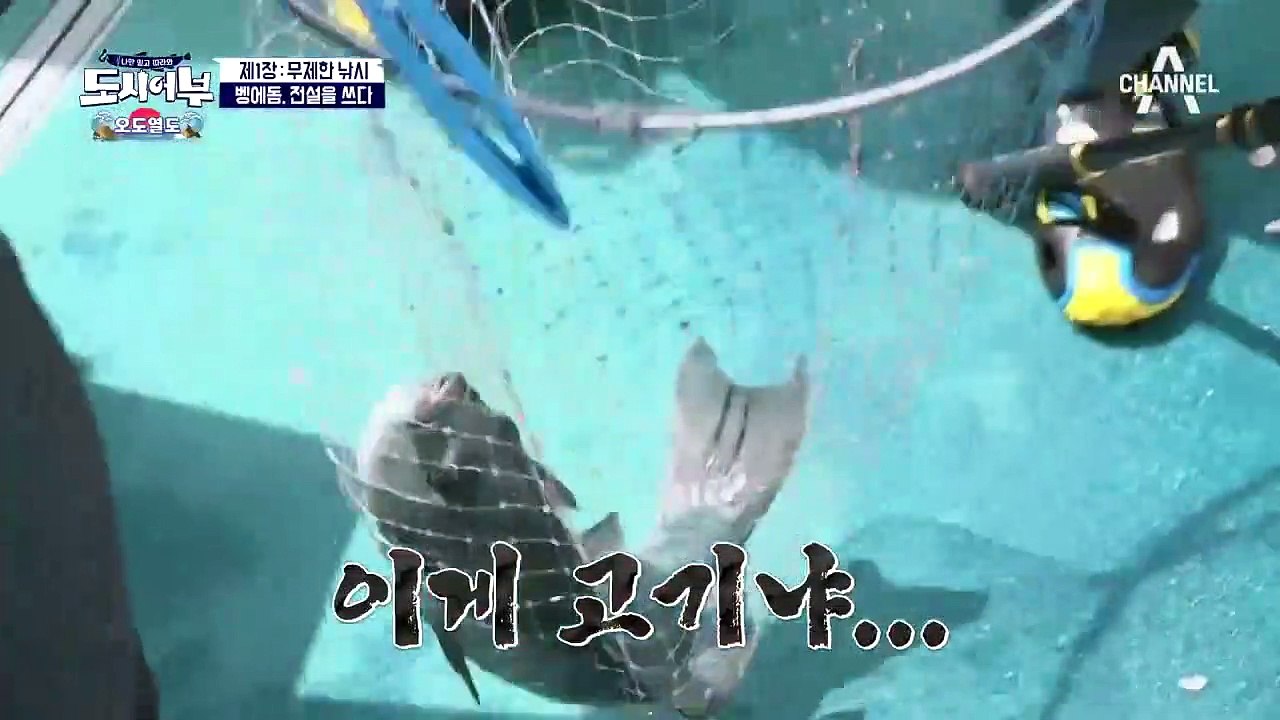 *대박 신기록* 도시어부 공식기록 45.5cm를 깬 경규의 '49cm의 벵에돔'