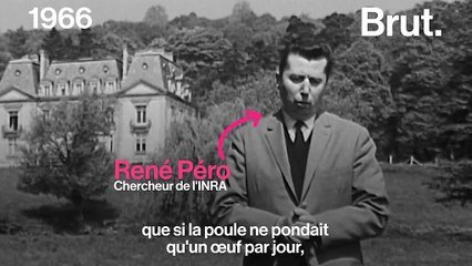 Voilà comment on imaginait le futur de l'élevage industriel en 1966