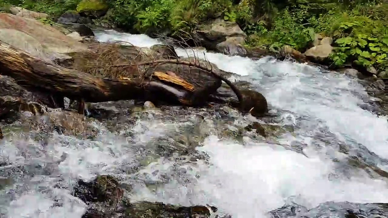 Romanian Montain River