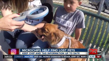 Dog rescue pushing tiny technology to help reunite lost pets and owners