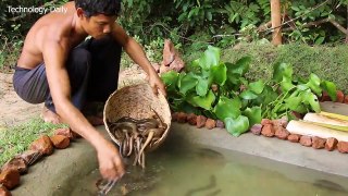 Collect Eels From Mud And Build The Farming Eel Pond
