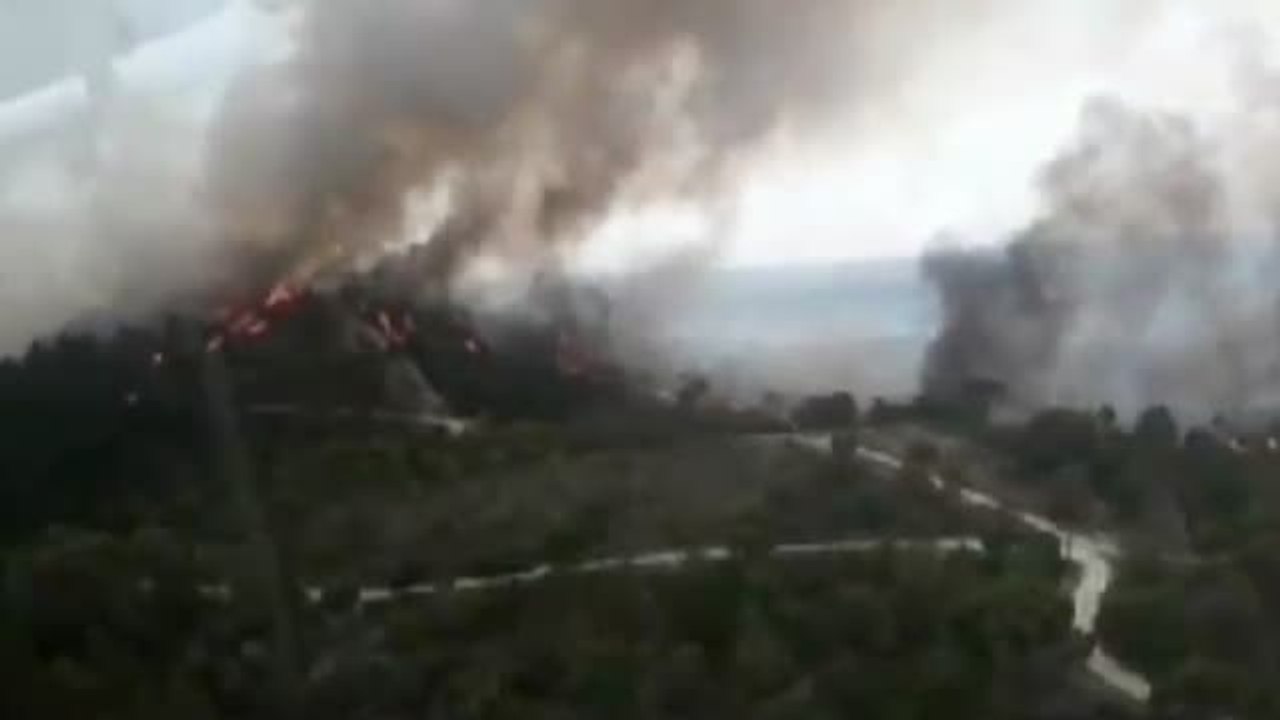 60 personas fueron desalojadas ayer en Moguer(Huelva) en un incendio que ya ha sido controlado