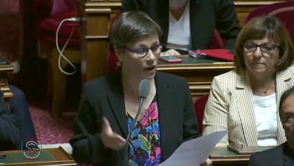 Sophie Taillé-Polian : question d'actualité du 20 juin 2019