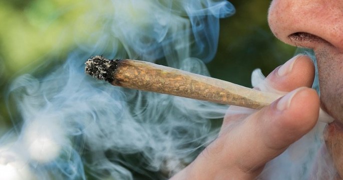 Le Conseil d'analyse économique, proche de Matignon, se dit favorable à une légalisation contrôlée du cannabis