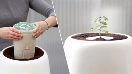 Bios Incube - World's first incubator designed for the after life