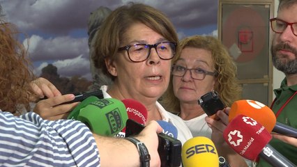 Sabanés insiste en la 'doble licencia' para los VTC en la capital